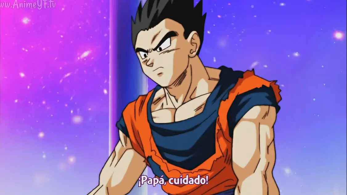 resumen