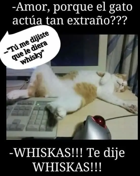 humor