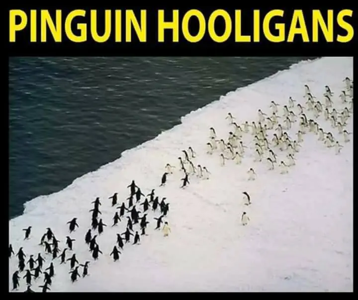 humor
