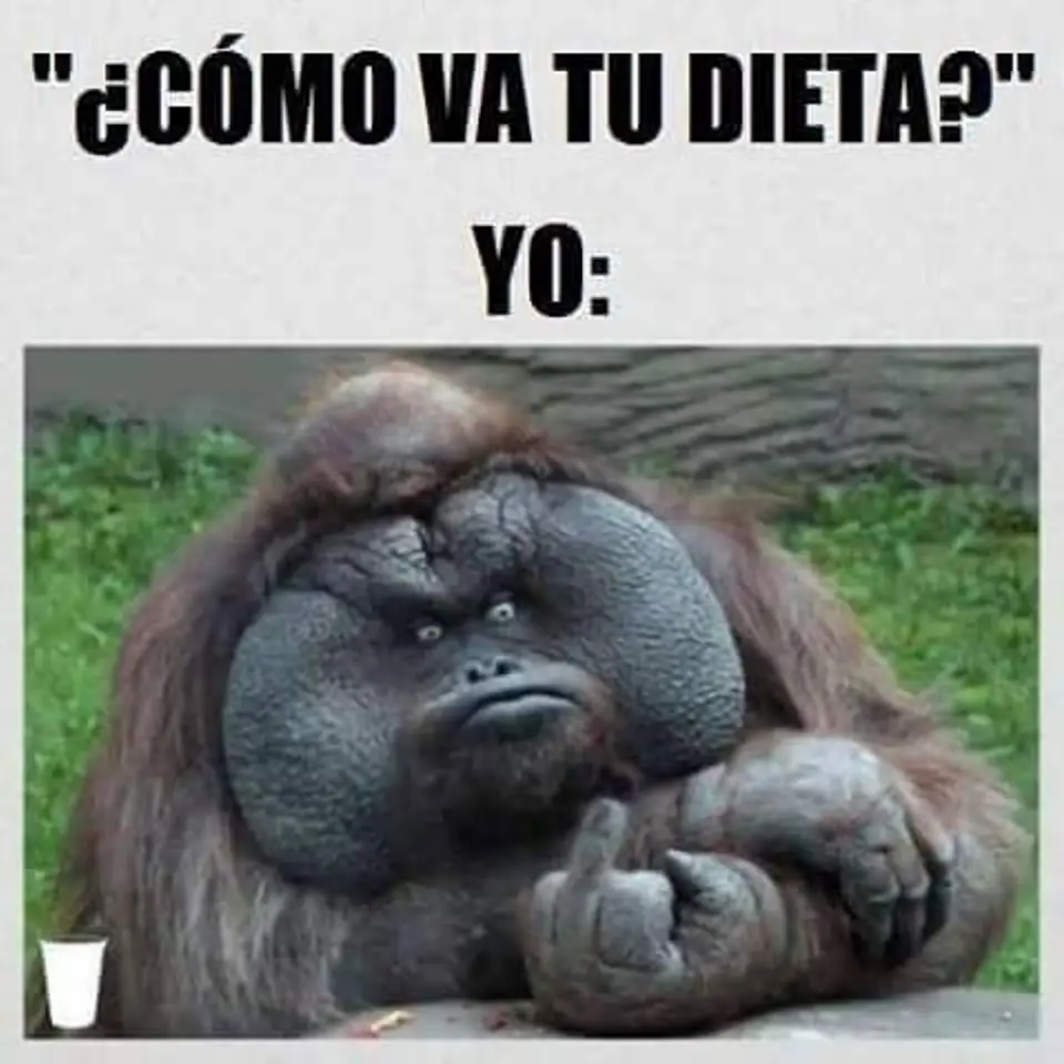 imagenes