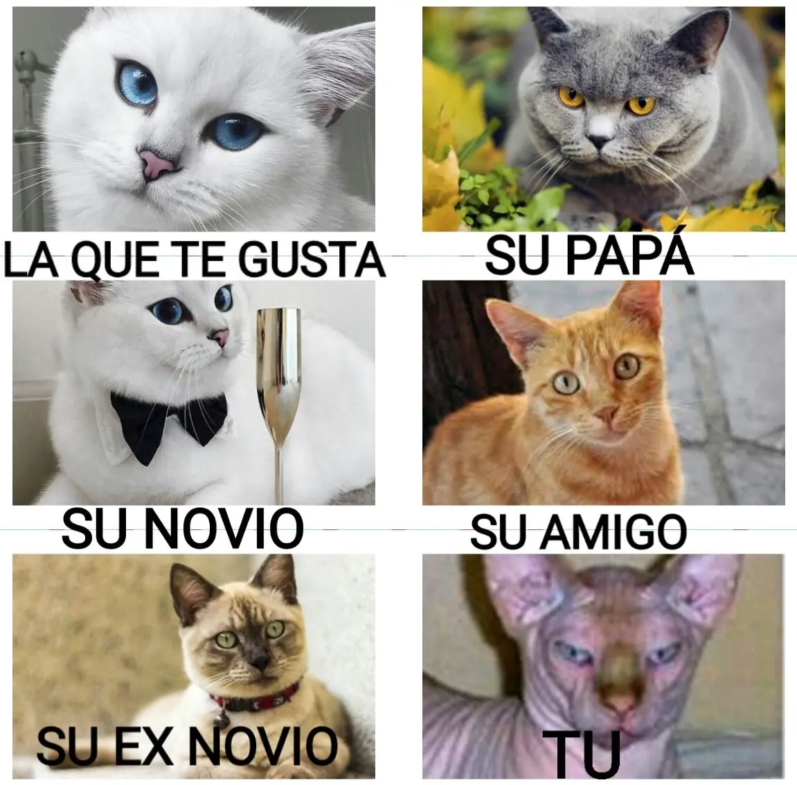 Imágenes de Humor para este Juevebes [Memes y más]
