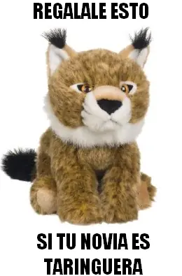 Memes taringueros (Hechos por mi)
