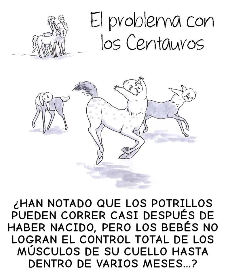 imagenes