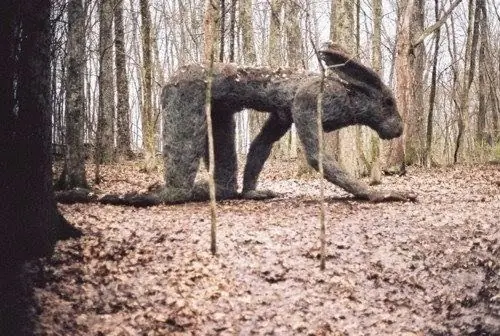 terror