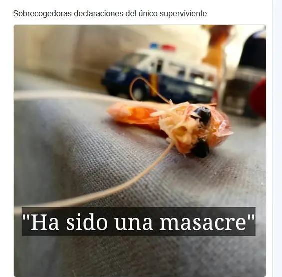 memes