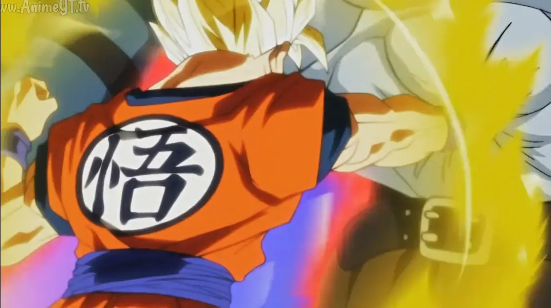 cap 81 82