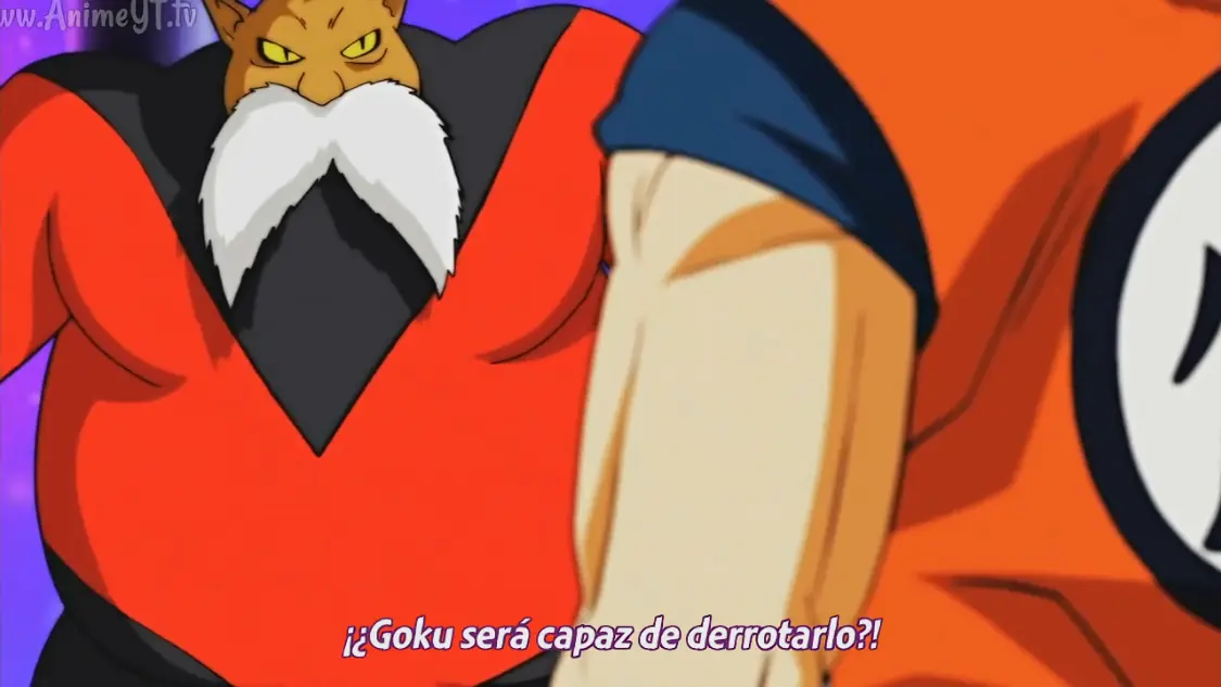 cap 81 82