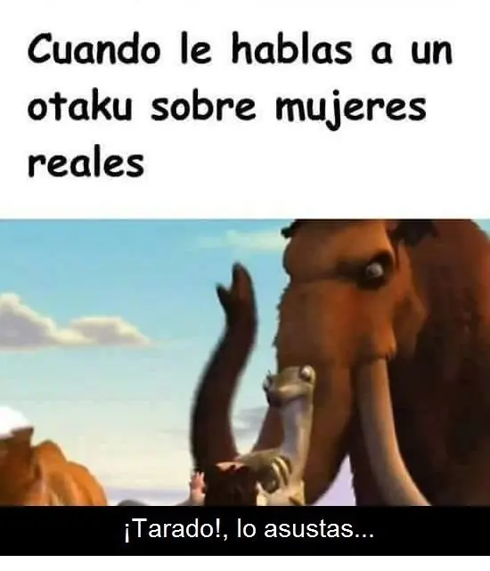 memes