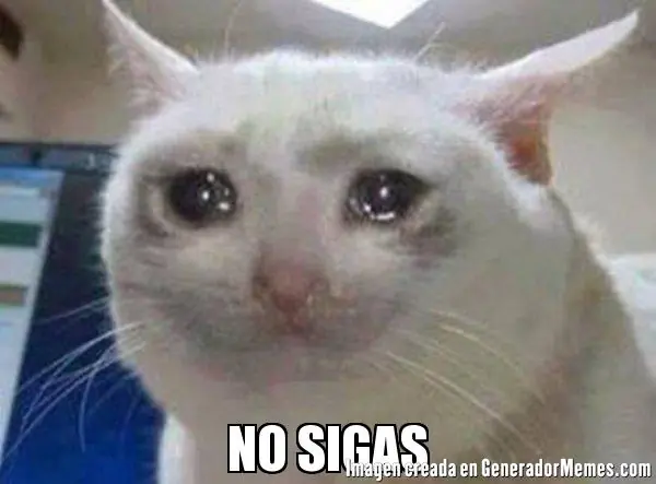 experiencia