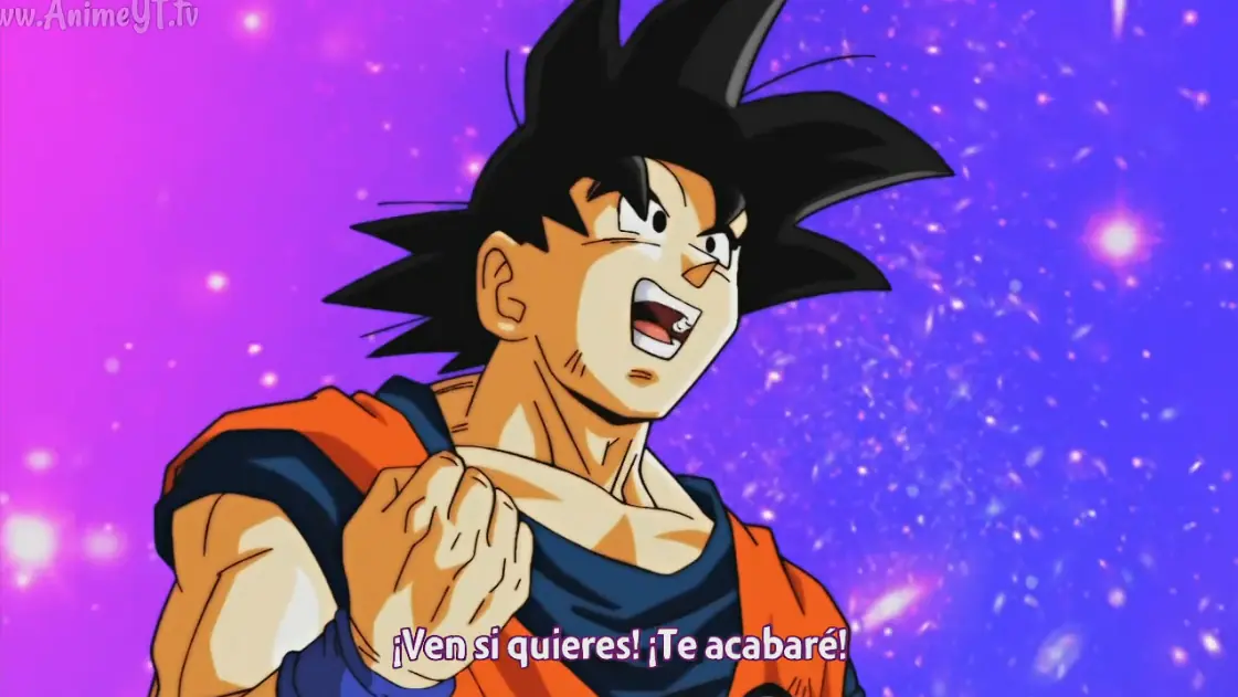 resumen