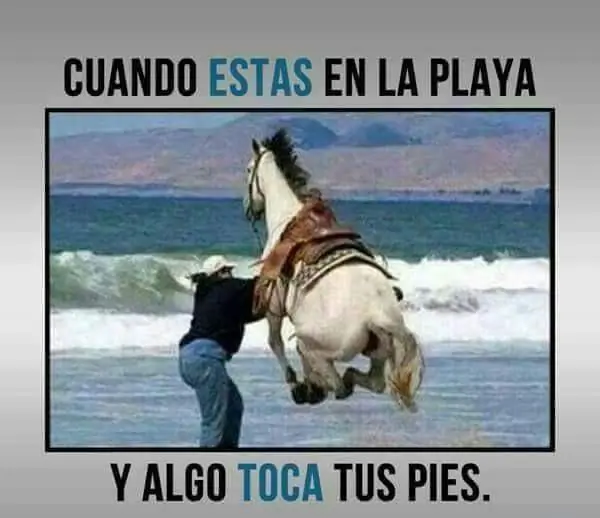 Humor de tarde para que levantes el ánimo!