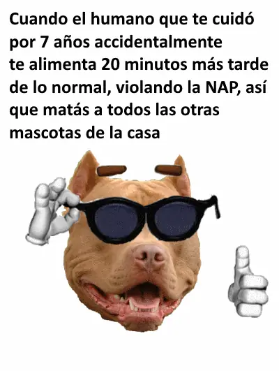 4chan vs taringa