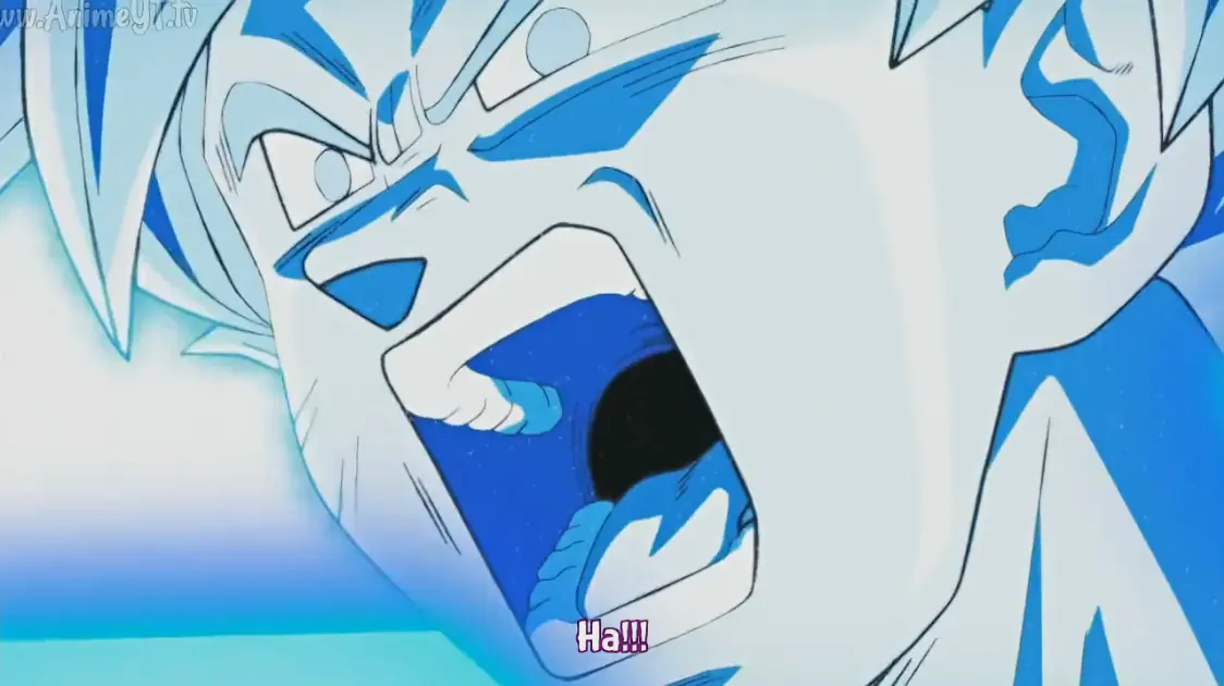 Dragon Ball Super cap 81: Gano nuestro capitan, gano Gokussi