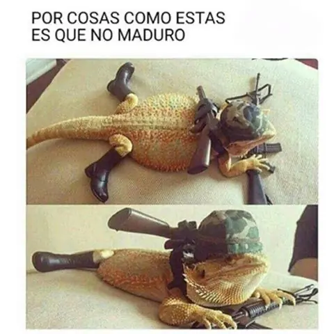 humor nocturno