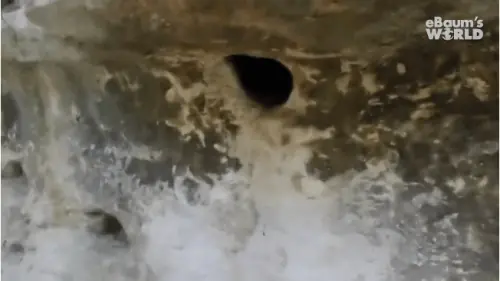 Metió la mano en este agujero y saco fue una pesadilla