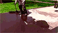 Gifs