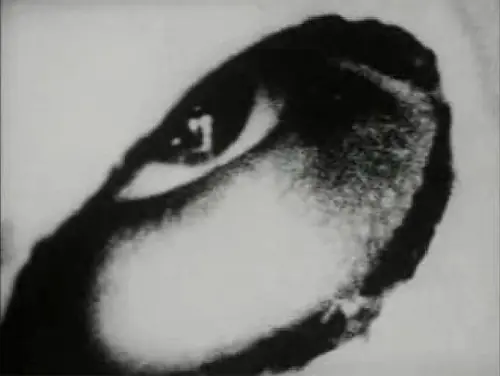 experimental
