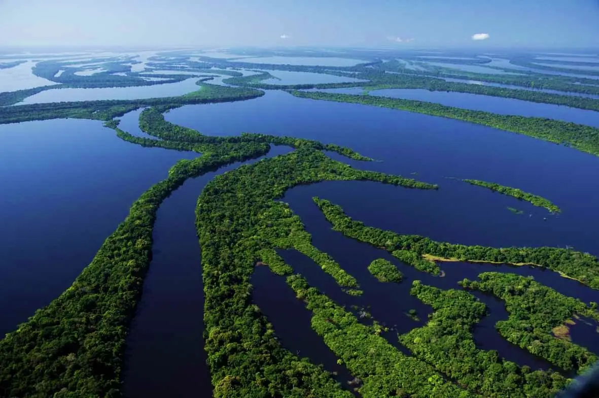 Biodiversidad