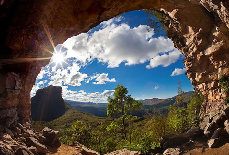 Biodiversidad