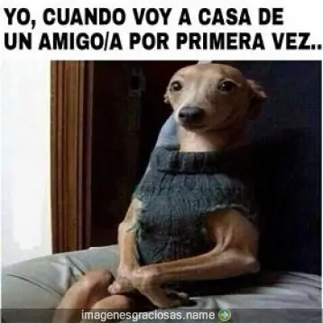 si te ries
