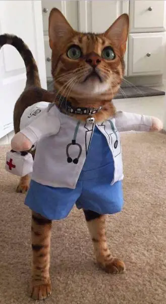 Fotos re locas que tenes que ver-parte 146