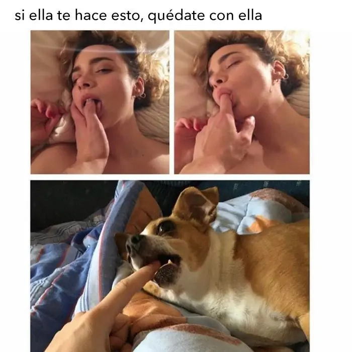 de humor