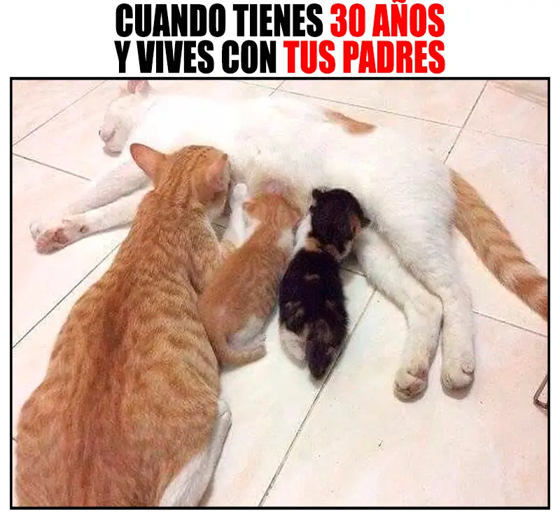 para el fin