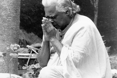 Swami Vishnudevananda
