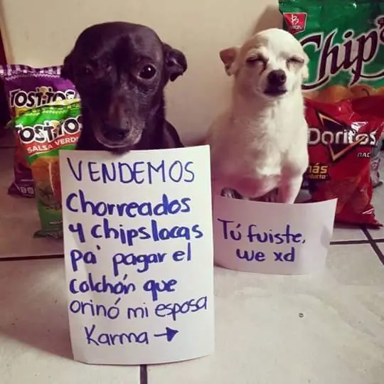 memes