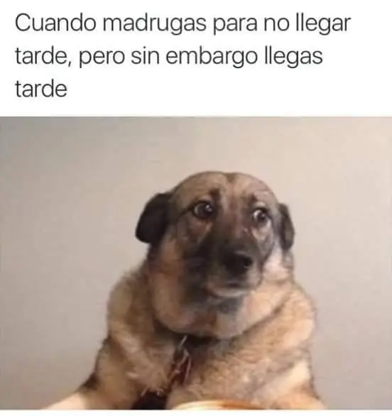 Chistes