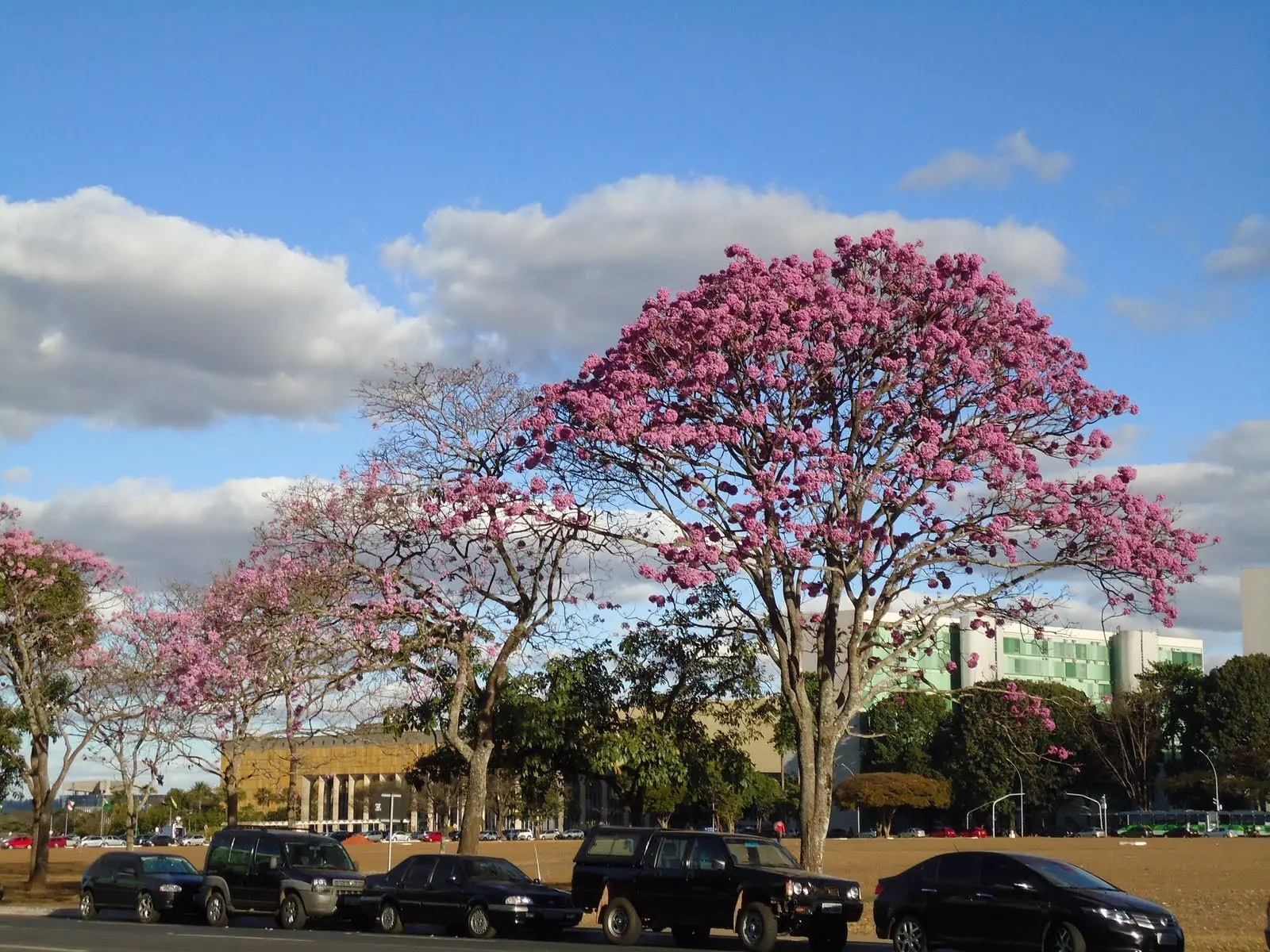 naturaleza
