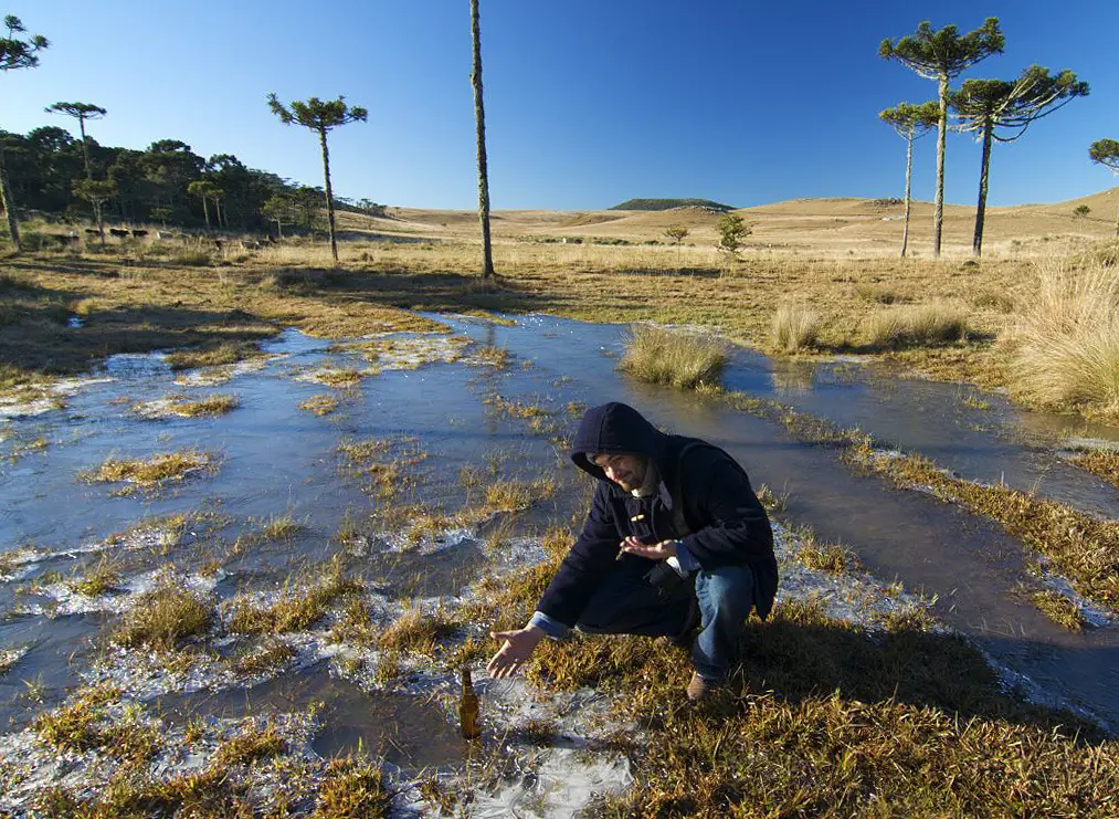 Brasil y su biodiversidad  Parte 1