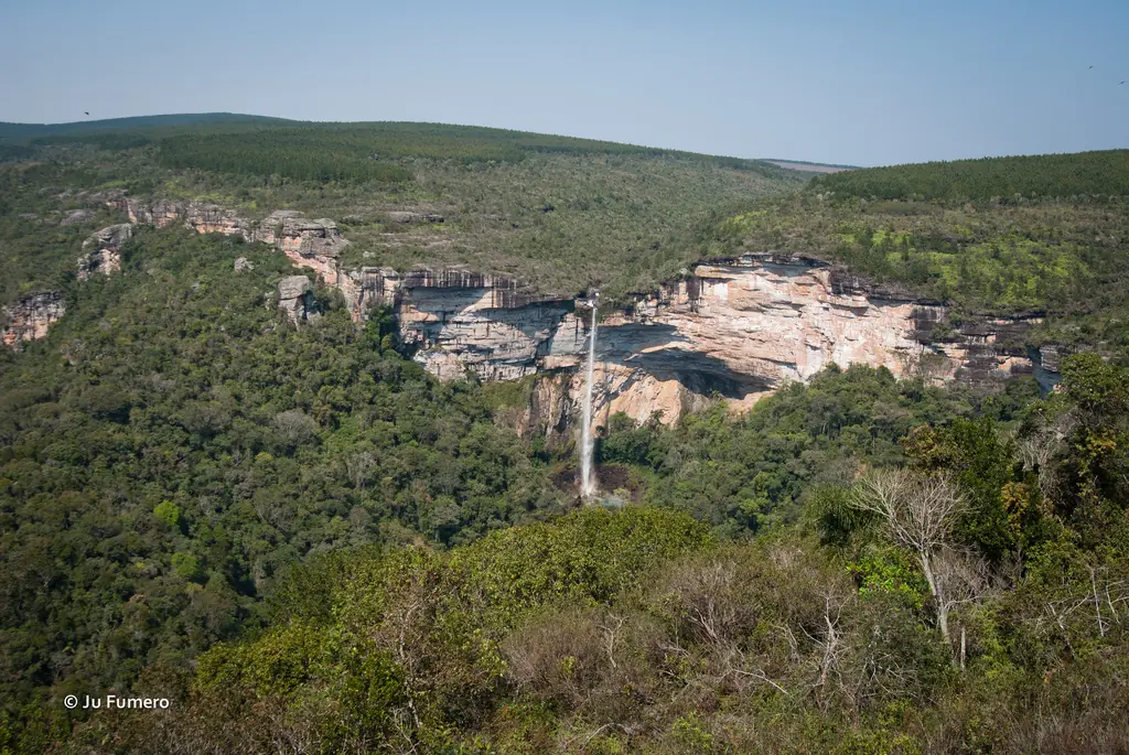 ecologia