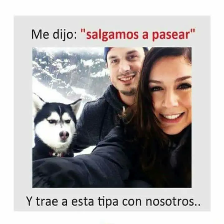 humor