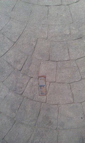 imagenes de humor