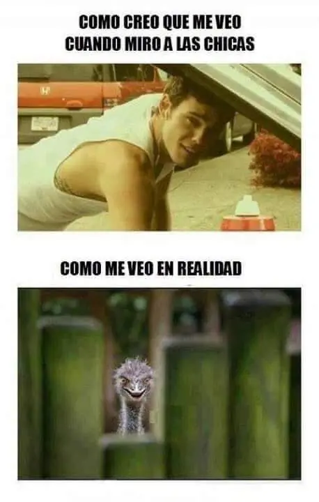 para el fin