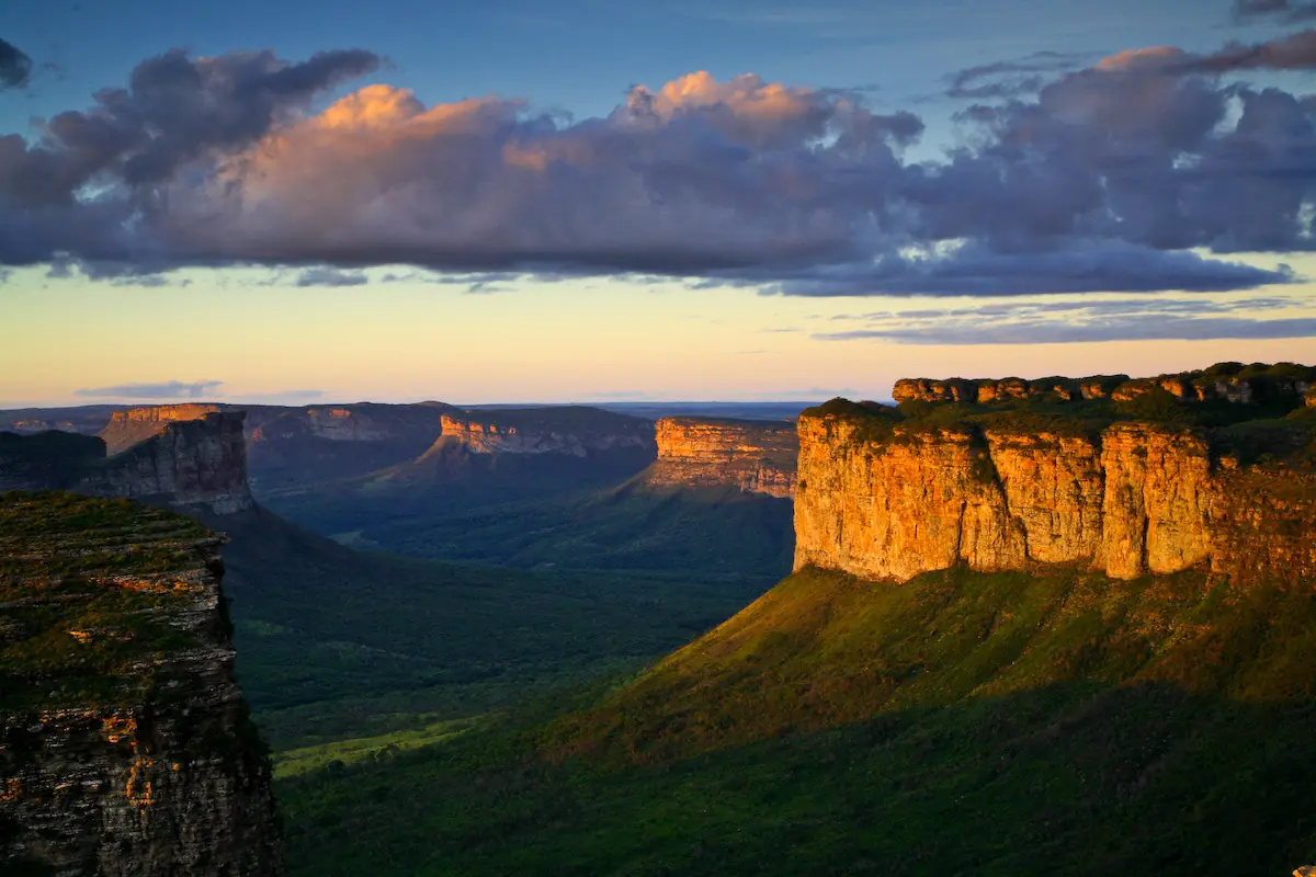 Brasil y su biodiversidad  Parte 1