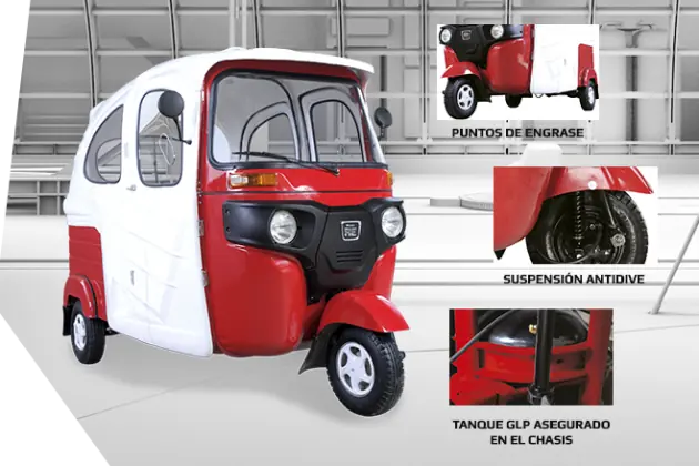 Transporte Interurbano Chile vs Peru