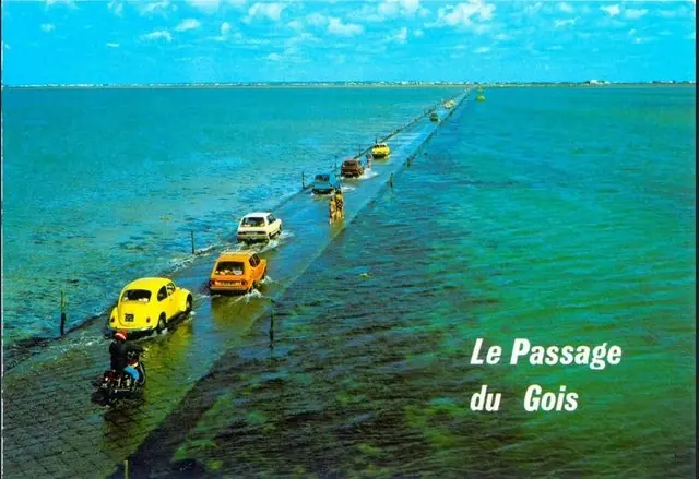 desaparecer
