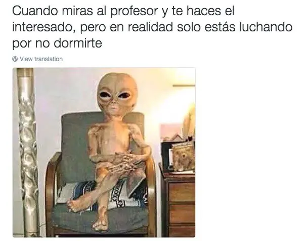 meme