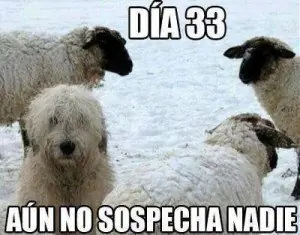 humor