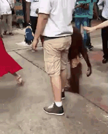 graciosos