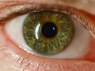 La visión es diferente según el sexo.