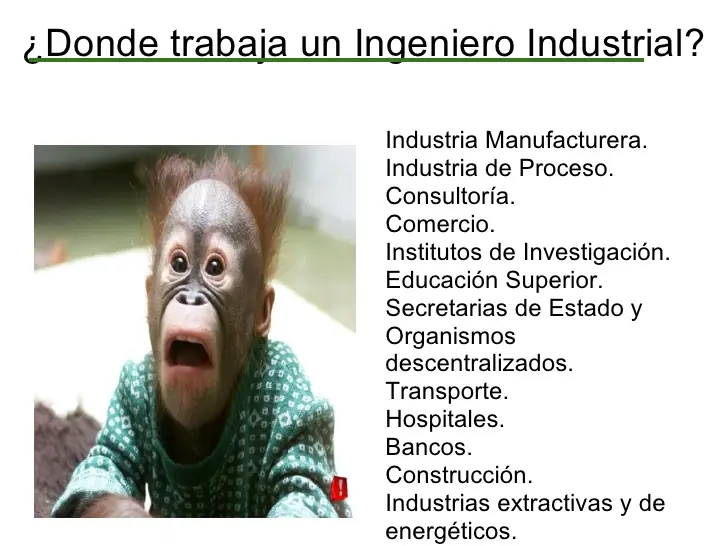 ingenieria