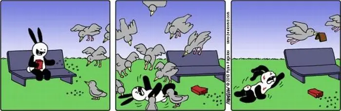 conejo