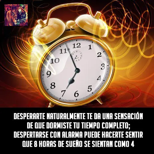 curiosidades del mundo