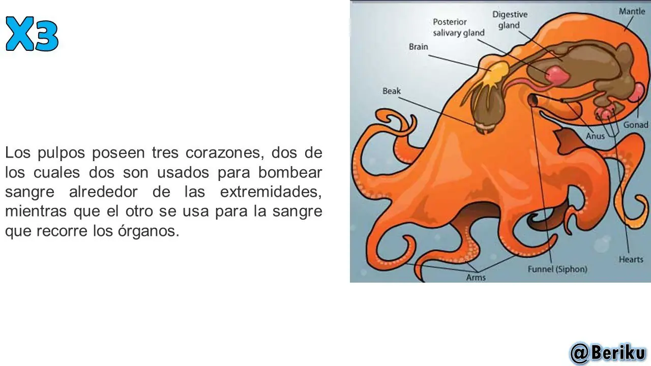 ciencia