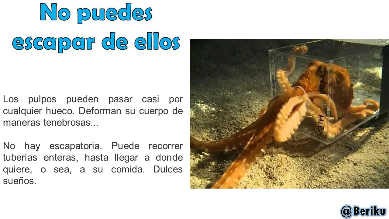 educacion