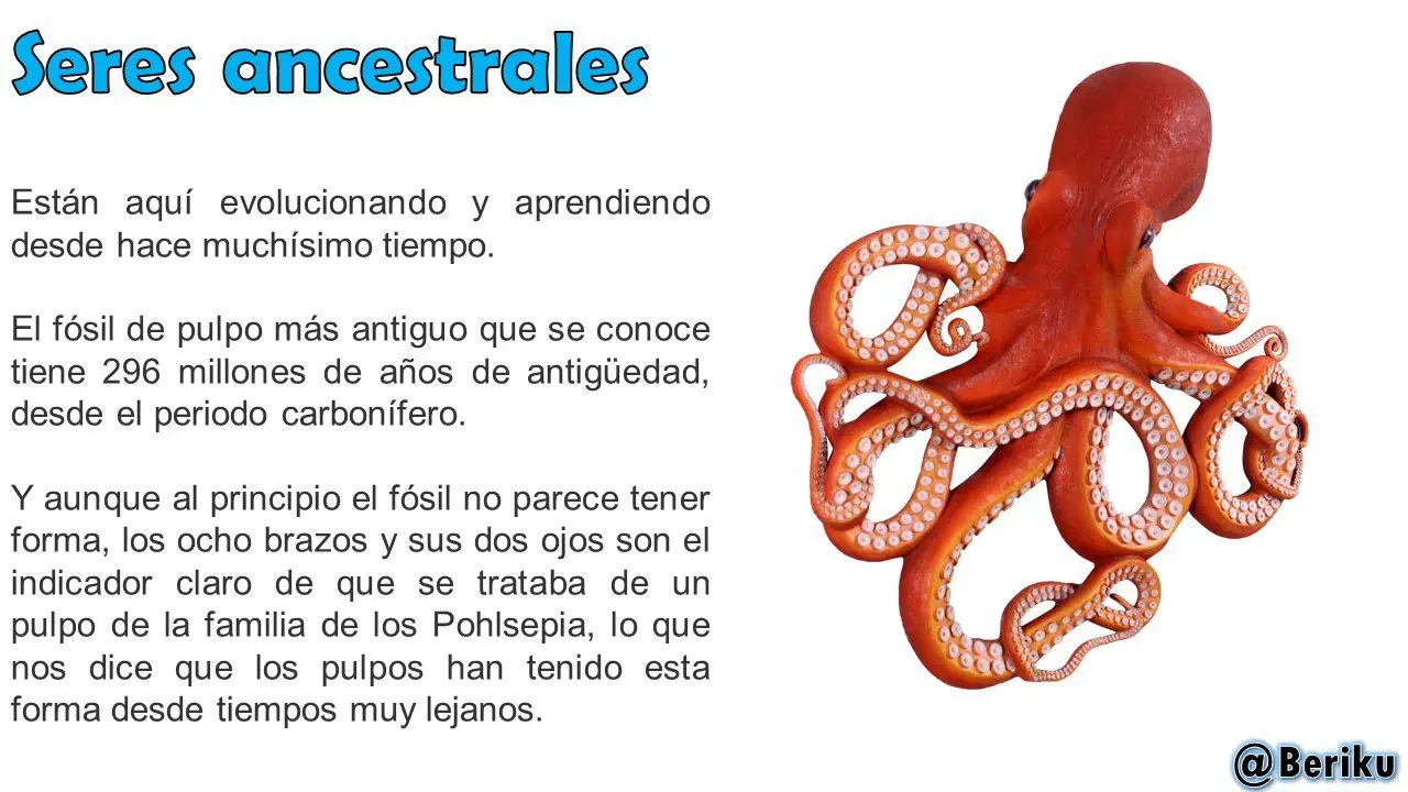 educacion
