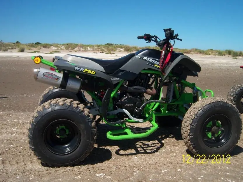 panther 250 wr